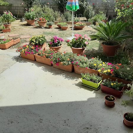 Casa Vacanze Millefiori Codice Iun Q3156 Teulada Εξωτερικό φωτογραφία