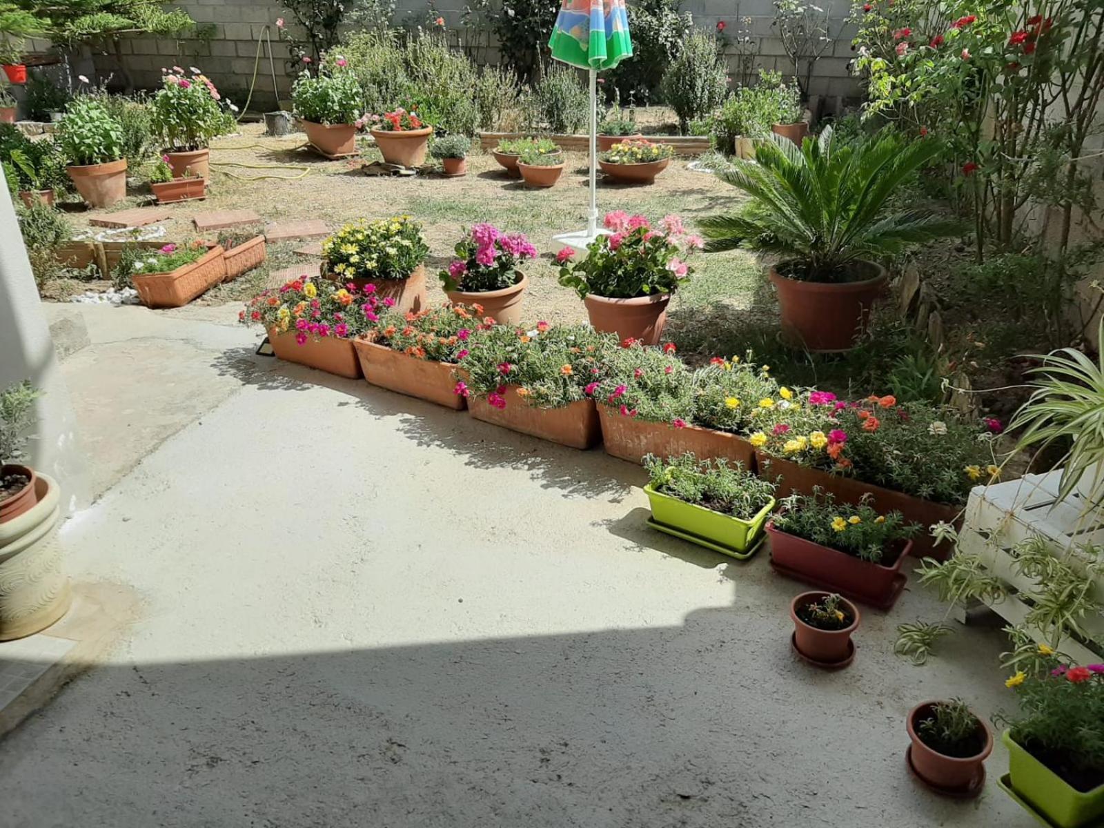 Casa Vacanze Millefiori Codice Iun Q3156 Teulada Εξωτερικό φωτογραφία